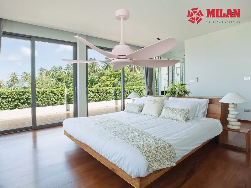 quat-tran-mau-trang-fy568